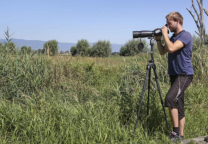 Bachelor Gestion de la nature