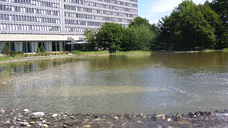 Etang construit sur la toiture du parking du Bureau International du Travail (BIT) à Genève.